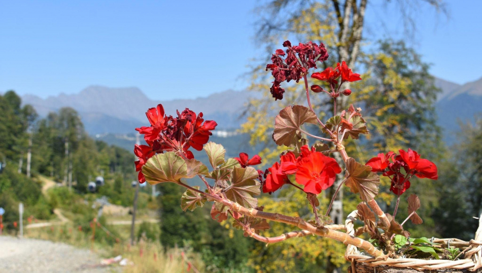 Загрузка Сочи на майские праздники вдвое хуже, чем Анапы Загрузка Сочи на майские праздники вдвое хуже, чем Анапы