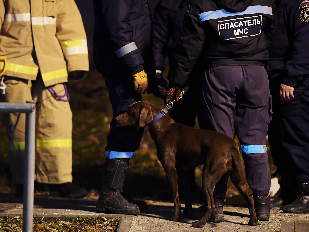 Стали известны подробности исчезновения россиянина в тайге