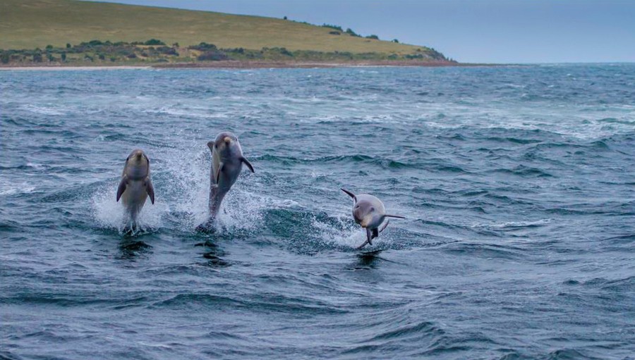 15 нетуристических мест, где виден настоящий характер каждой страны 15 нетуристических мест, где виден настоящий характер каждой страны