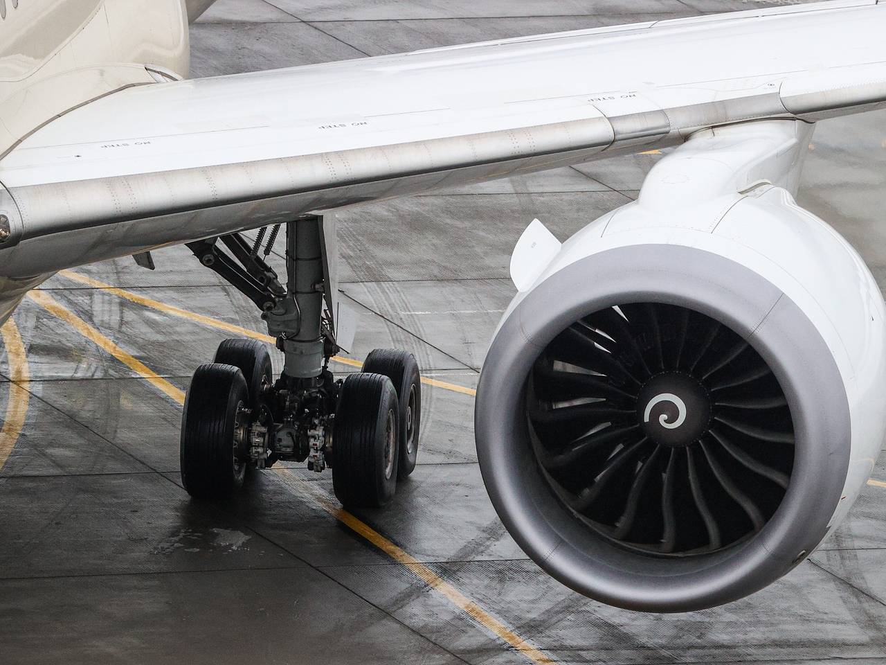 Вернувшийся в российский аэропорт самолет столкнулся с птицей