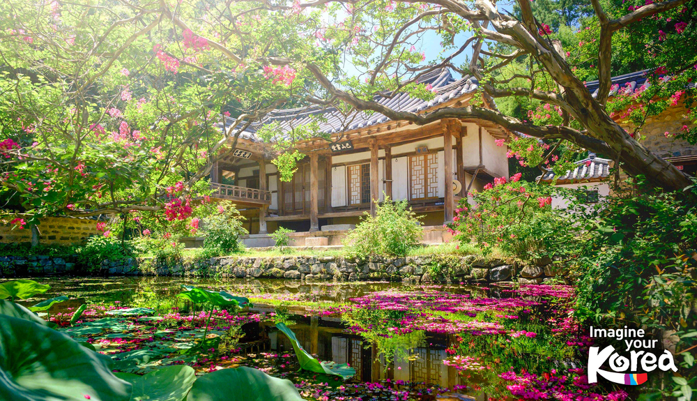 Южная Корея на майские праздники и летом: два тура с русскоговорящим гидом — цветущий Сеул и неповторимый Пусан Южная Корея на майские праздники и летом: два тура с русскоговорящим гидом — цветущий Сеул и неповторимый Пусан