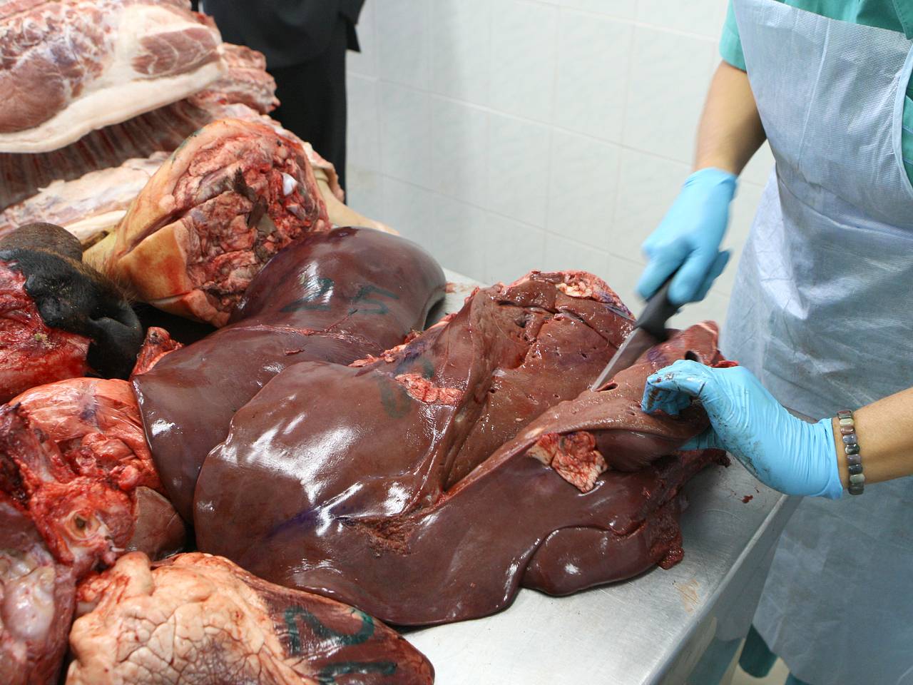 Россиянка описала один продукт в США фразой &laquo;загадка американской гастрономии&raquo;