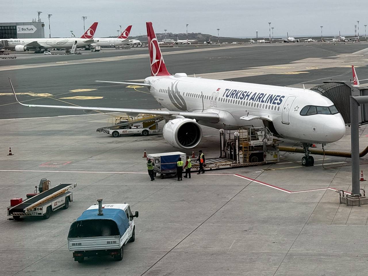 Российская телеведущая описала полет Turkish Airlines словами &laquo;адовый ад&raquo;