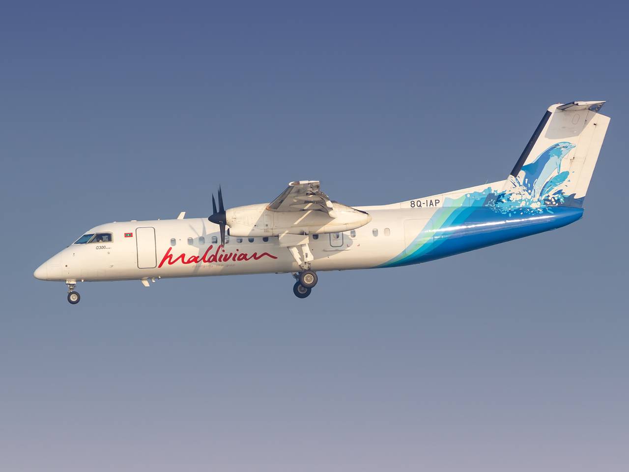 Национальная авиакомпания любимого курорта богачей захотела летать в Россию