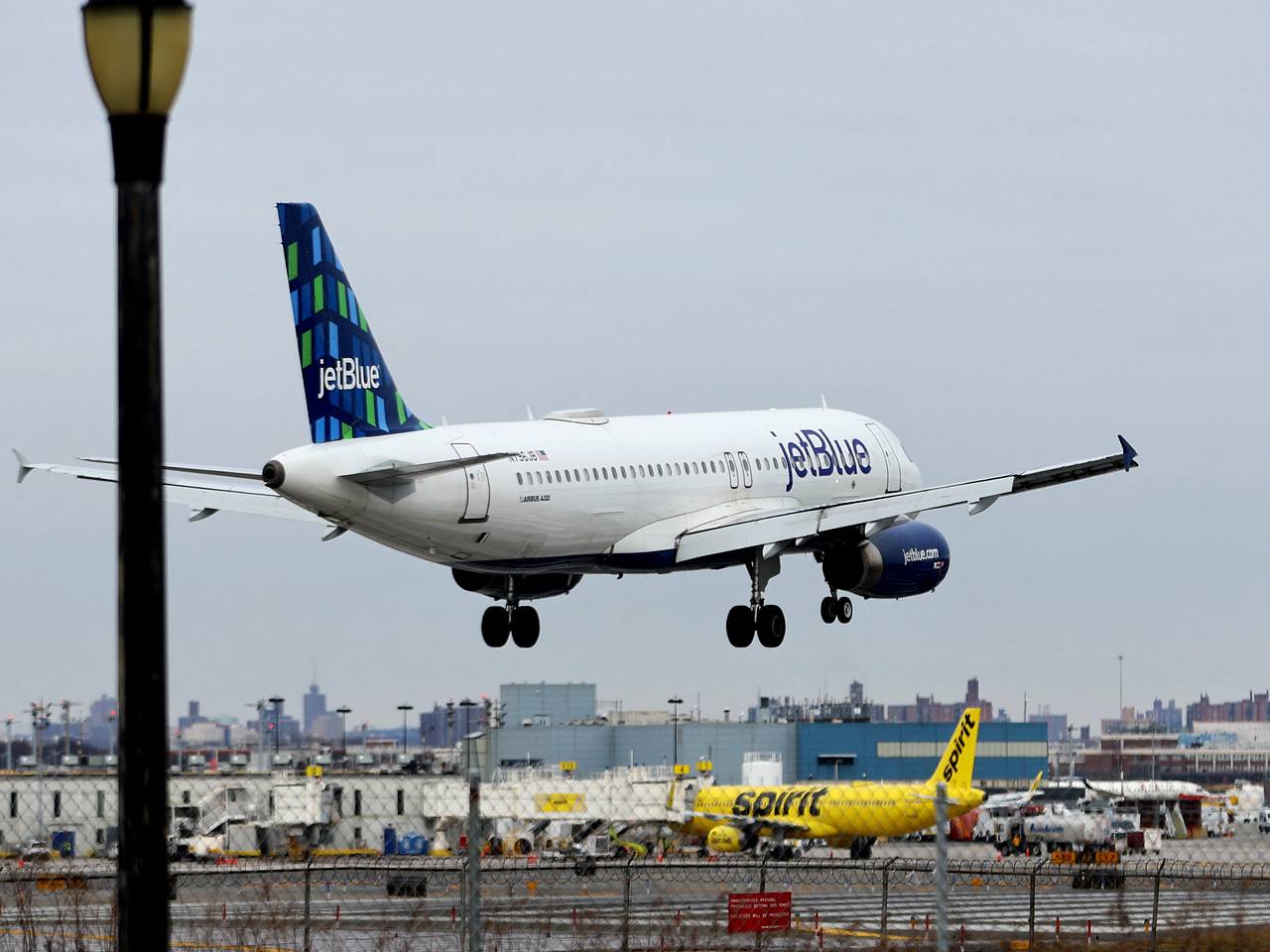 Дикое животное сорвало рейс пассажирского самолета в США