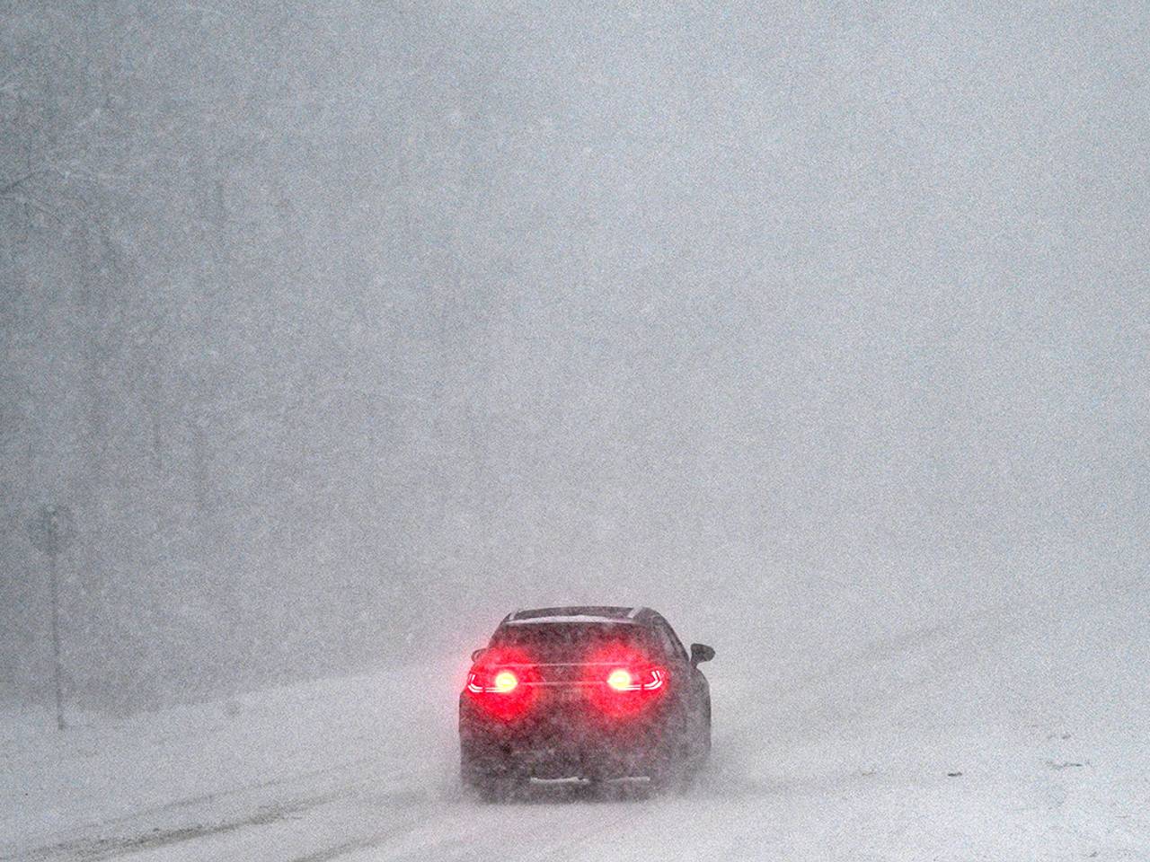 Голландец описал поездку по зимнику на севере России фразой «это был очень классный опыт»