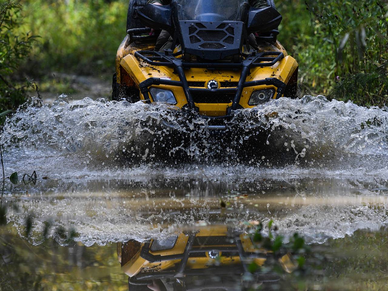 Туристка выпала из квадроцикла на полной скорости и осталась с «похожим на фарш» лицом
