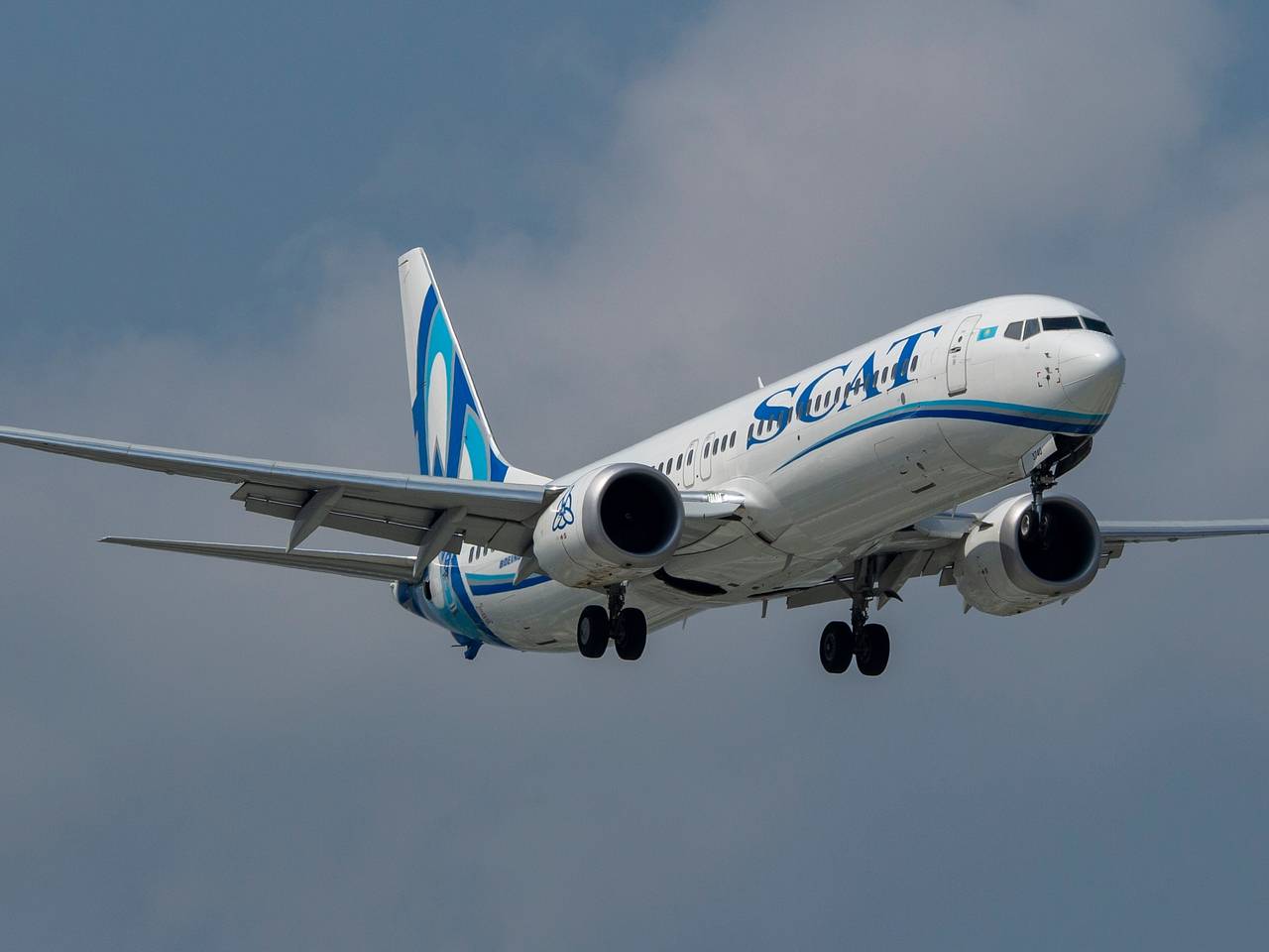 Пассажирка обвинила авиакомпанию в отношении к ее питомцу &laquo;как к грузу без ценности&raquo;