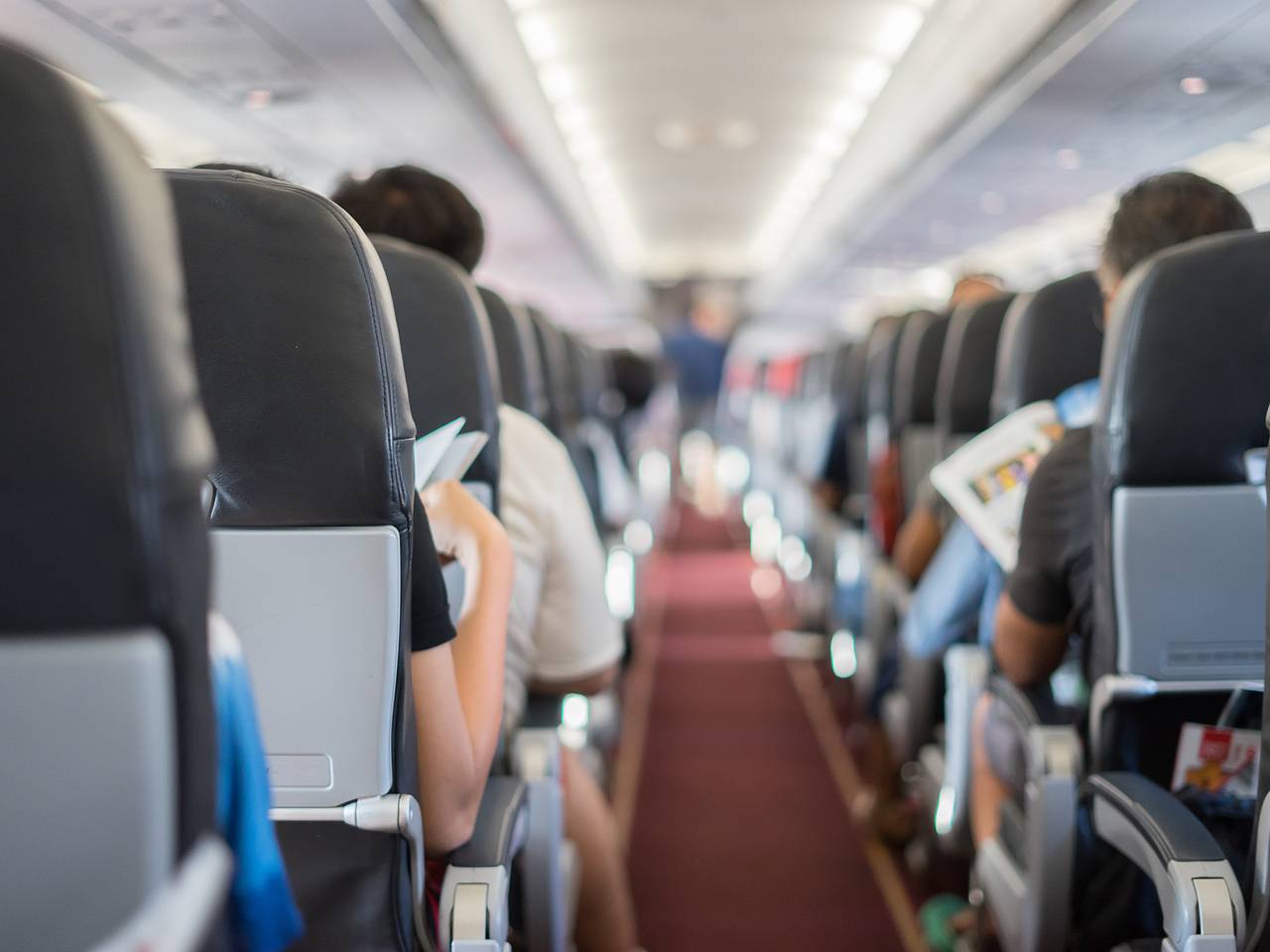 Пассажир домогался стюардессы в самолете и загнал ее в угол