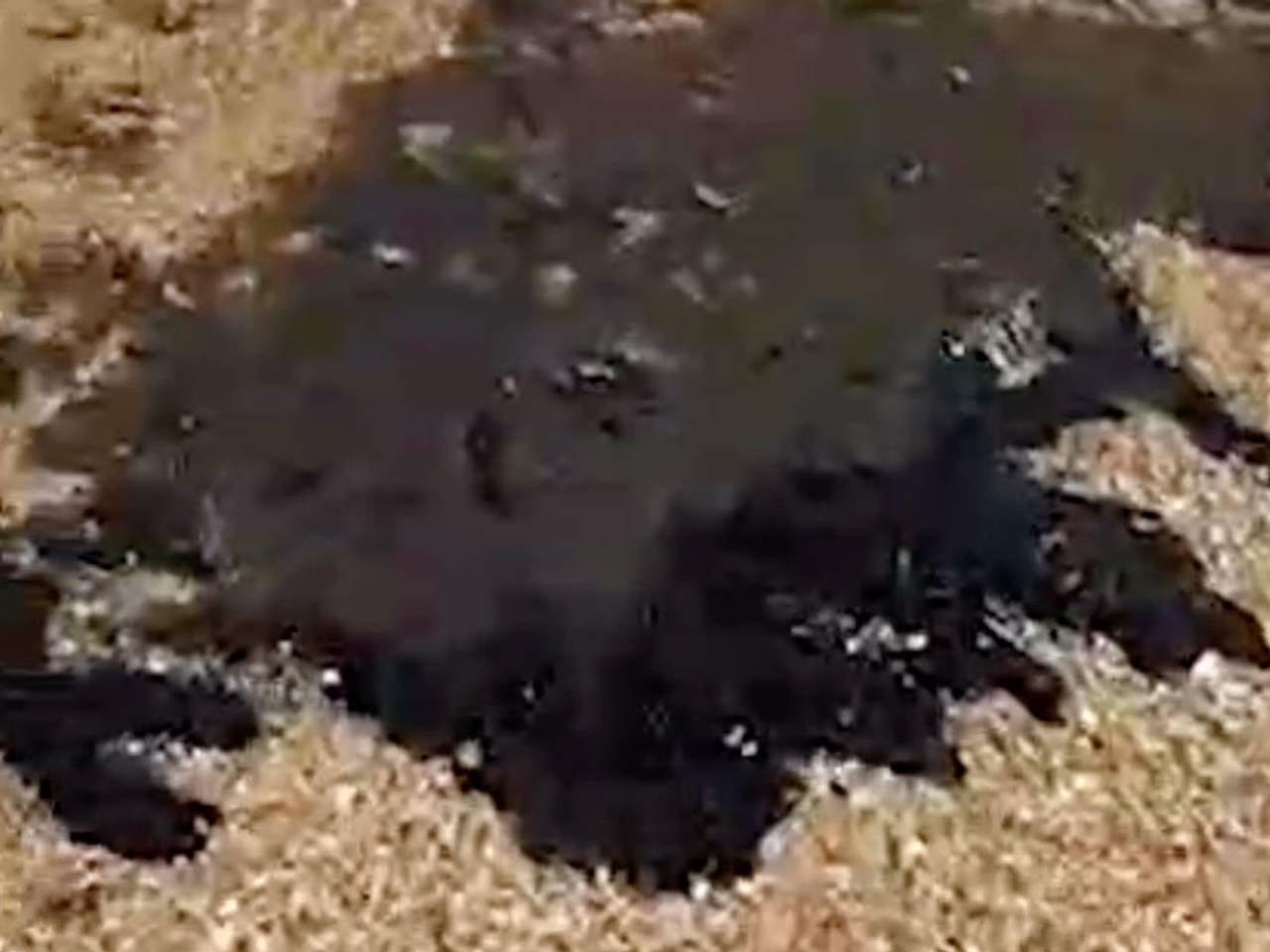 Новое мазутное пятно у пляжа Анапы попало на видео