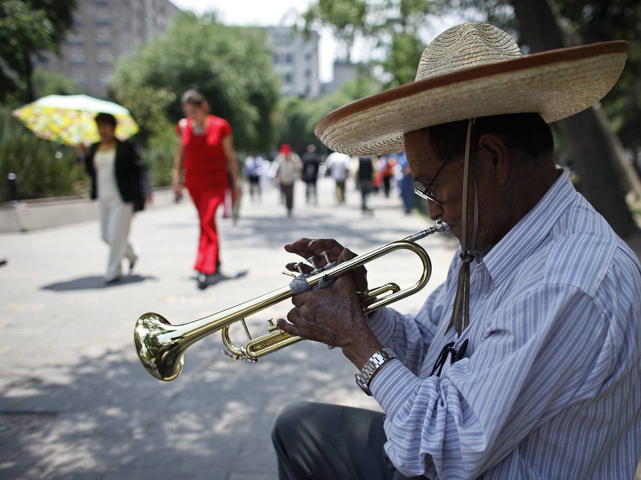 Россиянка описала рынок в Мексике словами &laquo;самый сильный культурный шок&raquo;