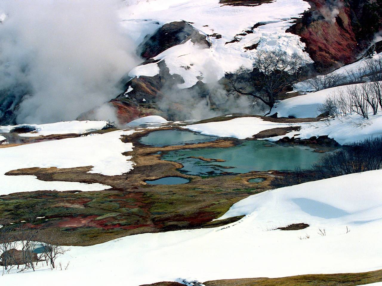 Назван возможный сценарий трагедии с туристами на Камчатке