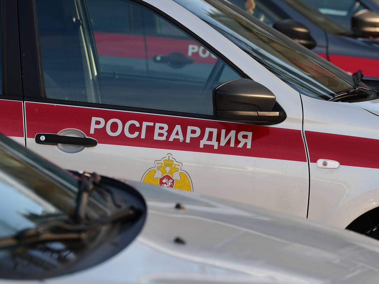 Поведение троих россиян в отелях Сочи описали словами &laquo;кричали и ломились в номера&raquo;