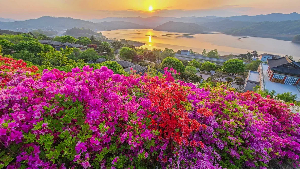 Южная Корея: приехать в мае &mdash; и захотеть вернуться летом