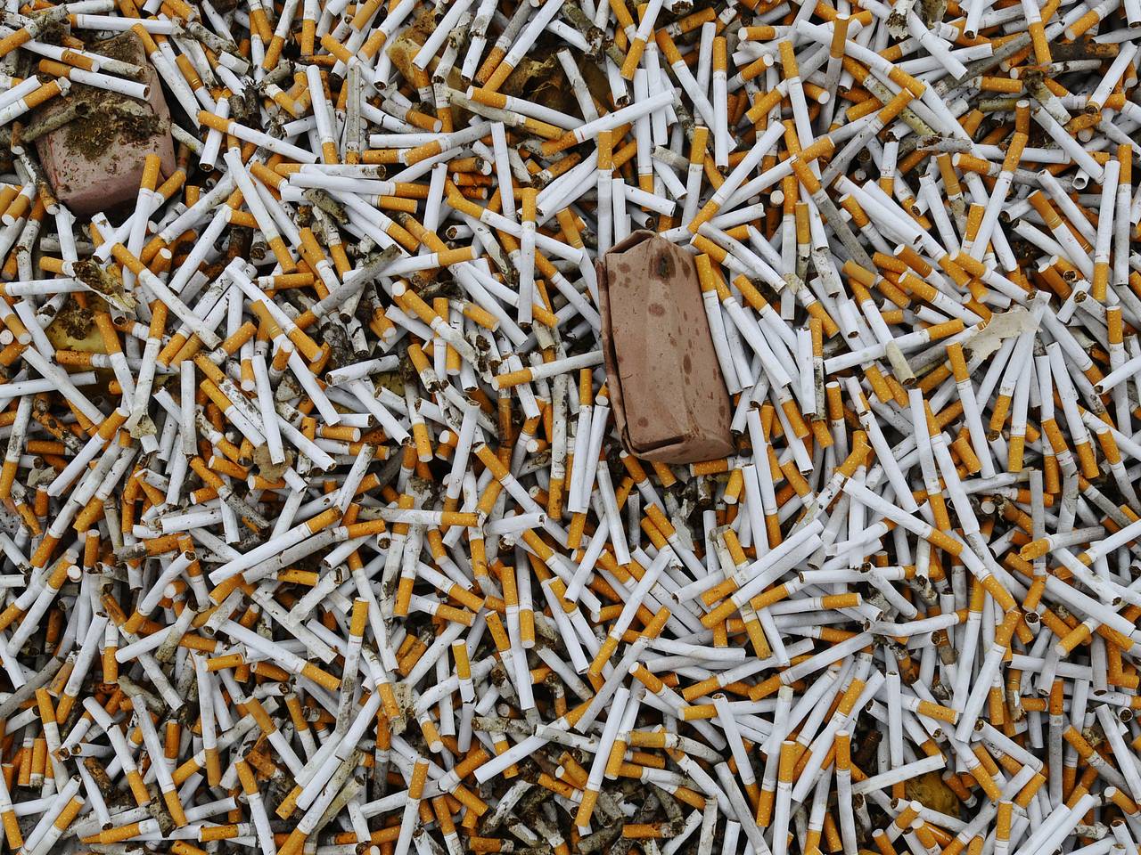 Иностранцы прилетели в Россию с 12 блоками импортных сигарет и попались