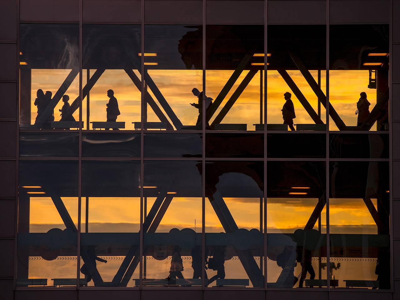 Десятки рейсов задержали или отменили в аэропорту Петербурга