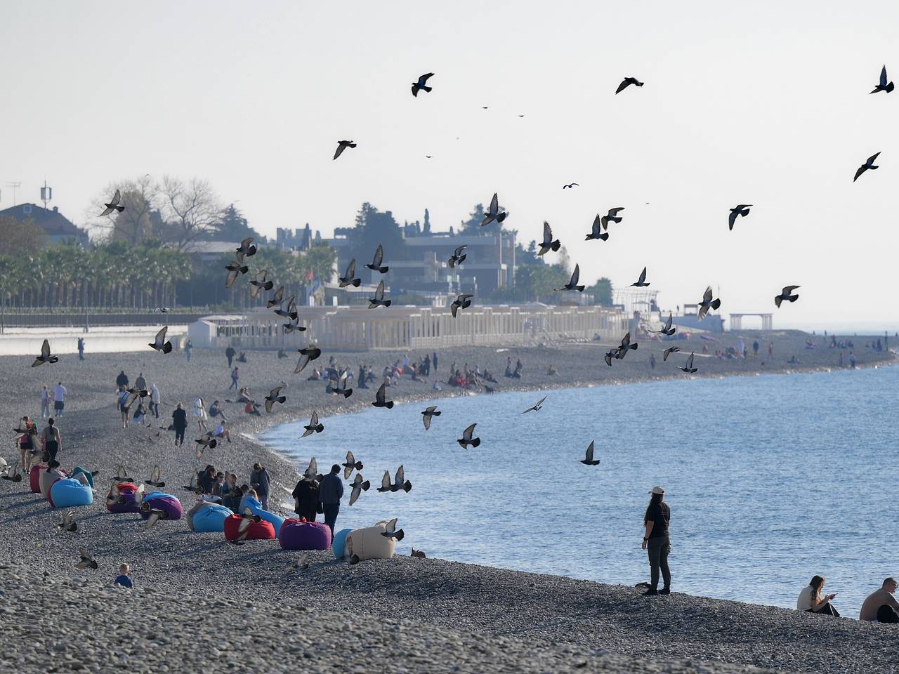В Сочи обращение с дельфинами в бассейне возле кафе описали словами &laquo;это треш&raquo;