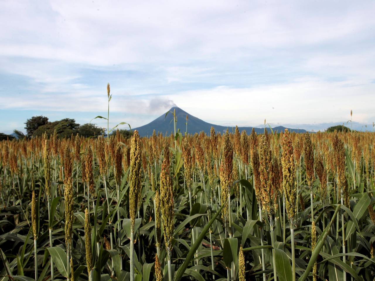 Туристка с тремя детьми поехала на экскурсию в Никарагуа и не выжила во время аварии