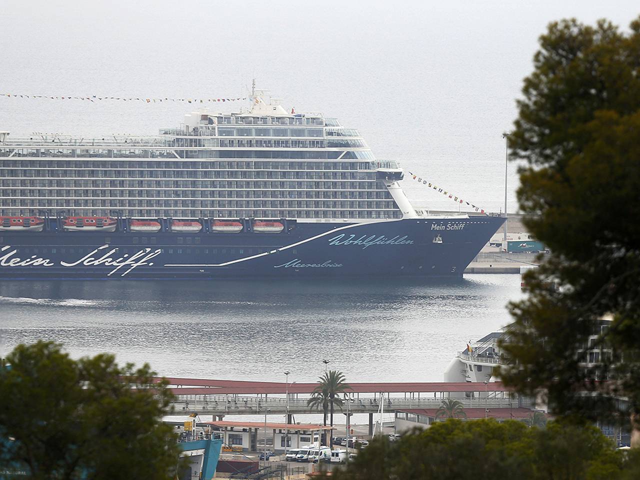 Двухлетний пассажир упал с палубы круизного лайнера и оказался в критическом состоянии