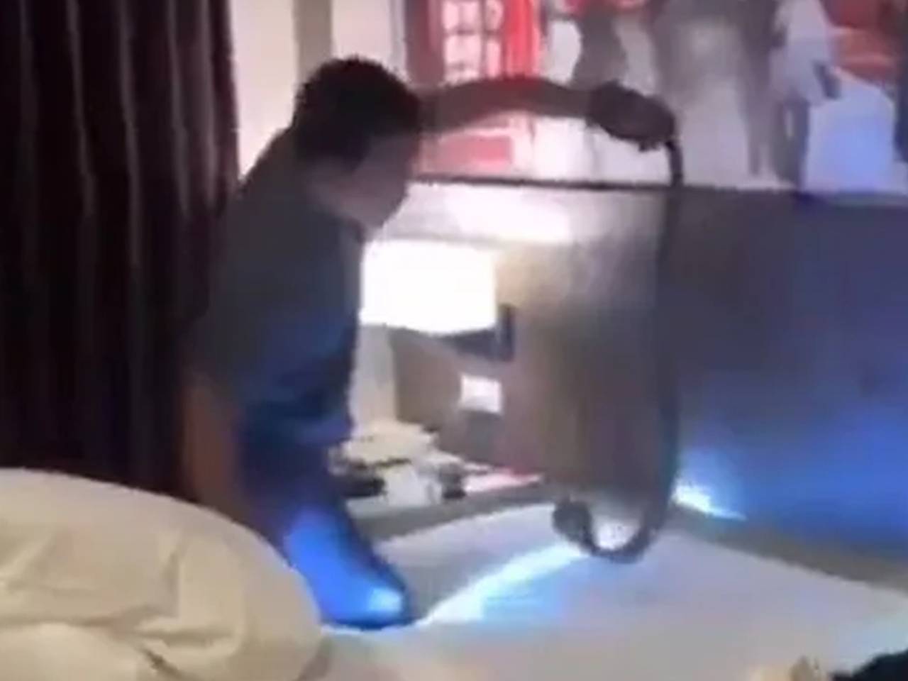 Туристы проснулись от шипящей возле их голов кобры в отеле Таиланда и сняли ее на видео