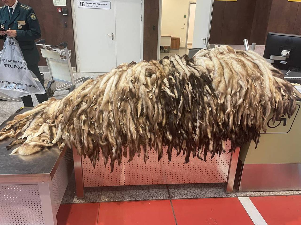 930 шкур хорька нашли в багаже иностранца в российском аэропорту