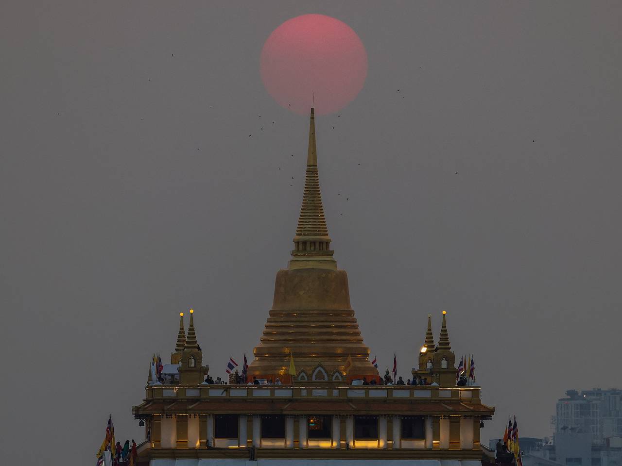 Модель фитнес-бикини и владелец ритуальной конторы из России бесследно пропали в Таиланде