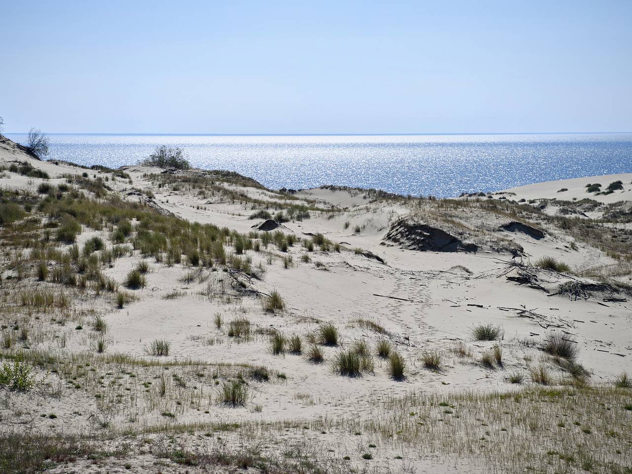 Россиянин побывал на Куршской косе и описал впечатления словами &laquo;и ради этого все едут?&raquo;