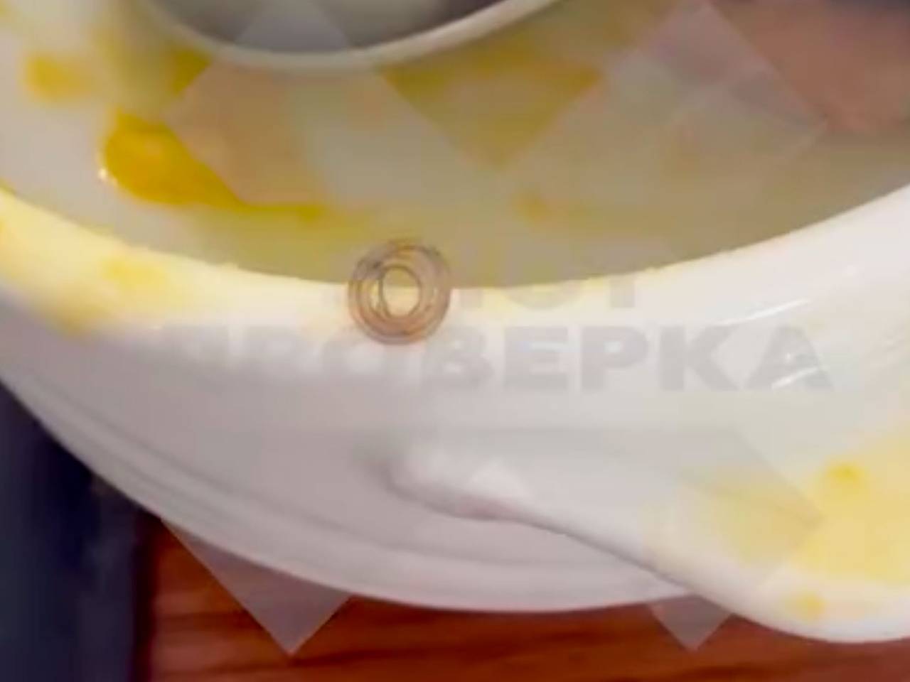 Российские туристы съели рыбу с паразитами в отеле Египта