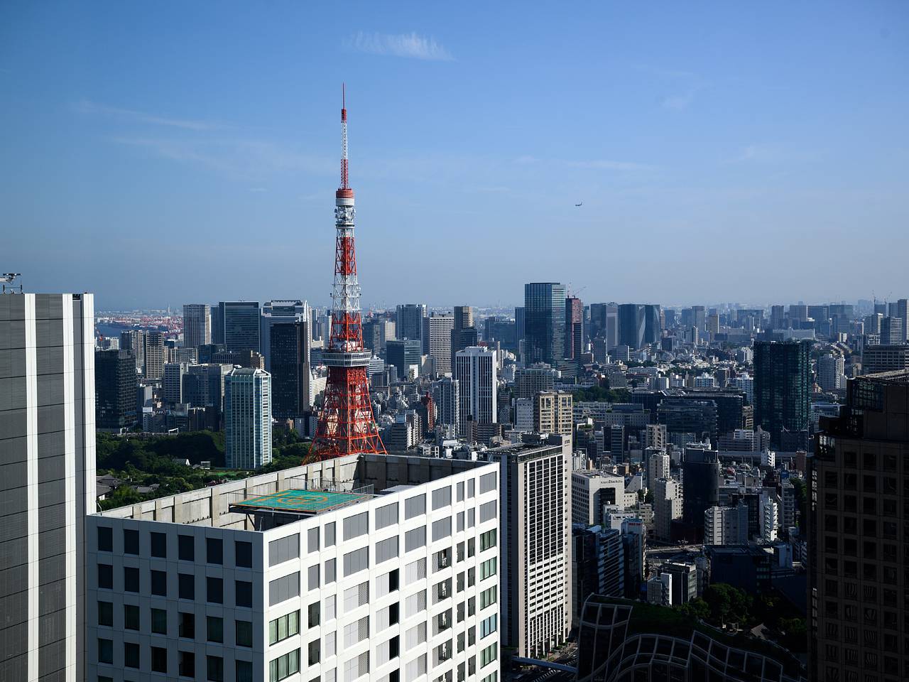 Российская туристка описала землетрясение в Японии фразой &laquo;вешалки от одежды шатаются&raquo;