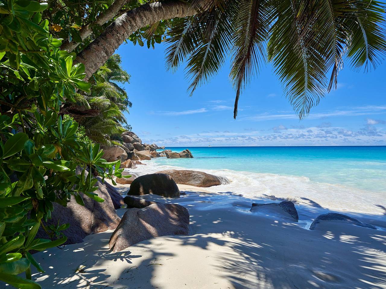 Власти Сейшел обратились к «Аэрофлоту» с вопросом о запуске круглогодичных прямых рейсов