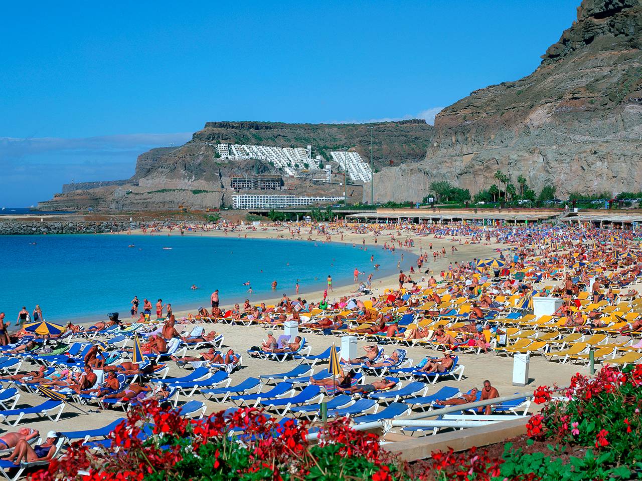 Турист сбежал с курорта после первого дня отпуска из-за покусавшей его девушки