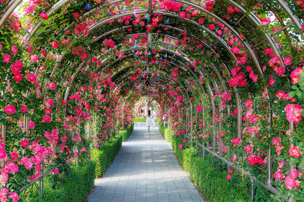 Южная Корея: приехать в мае &mdash; и захотеть вернуться летом