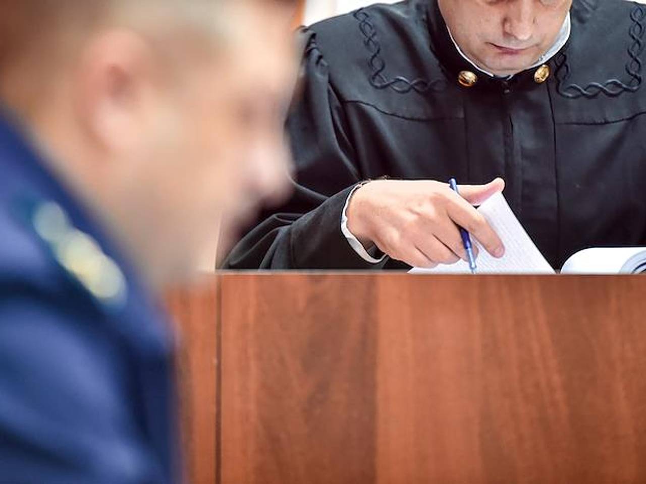 Собака расправилась с кошкой на рейсе российской авиакомпании