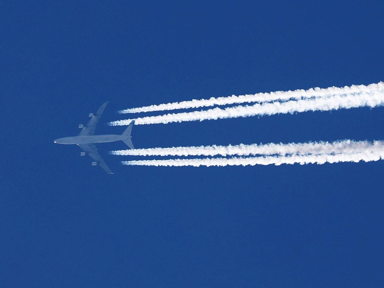 Россиянка спасла жизни сразу трех пассажиров на борту самолета