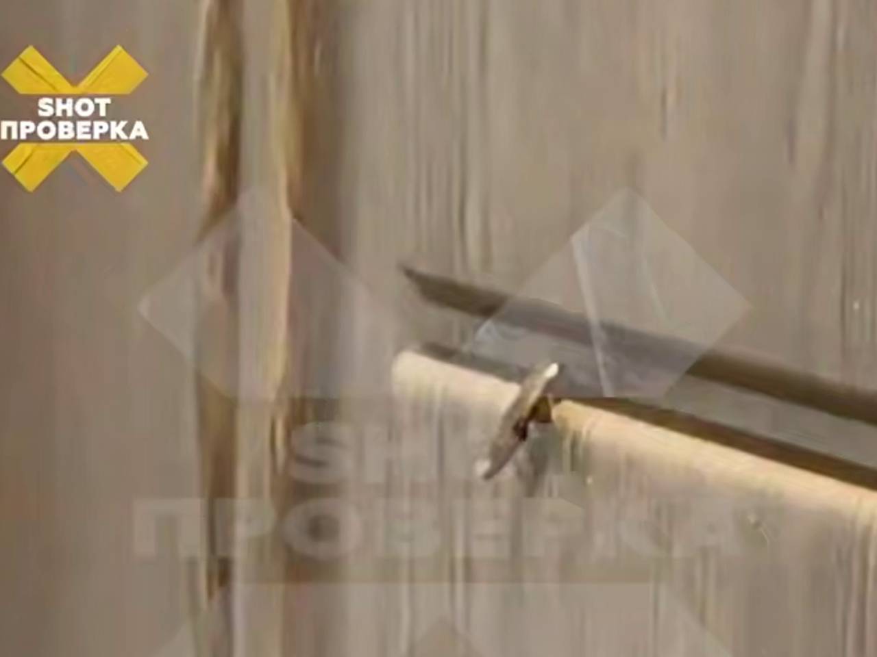 Тараканы заполонили номер россиянки в отеле страны Азии и попали на видео