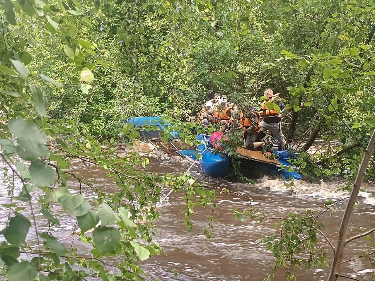 Два катамарана с 91 пассажиром столкнулись на реке в России
