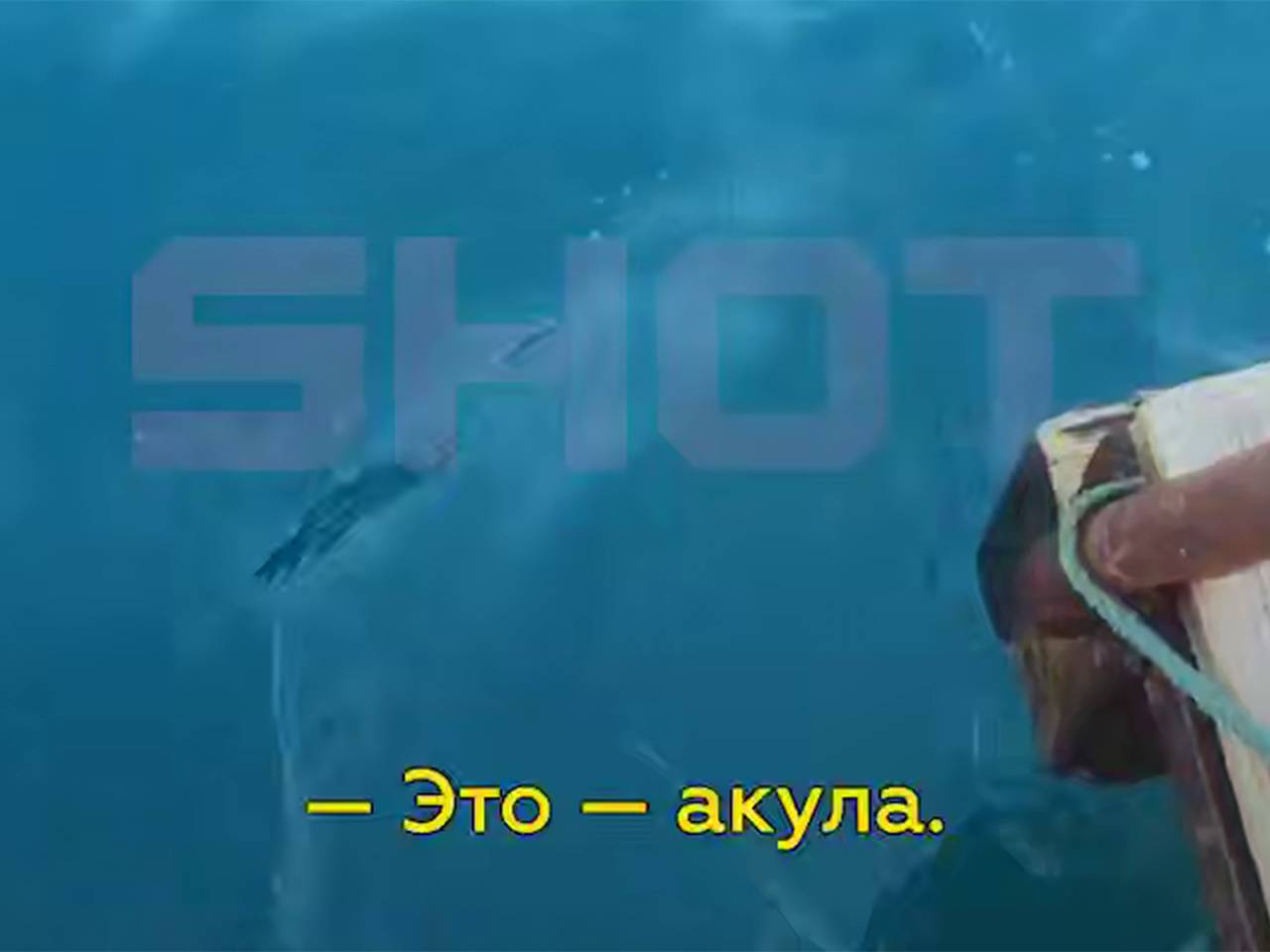 Российские туристы заметили акулу на пляже Египта и попали на видео