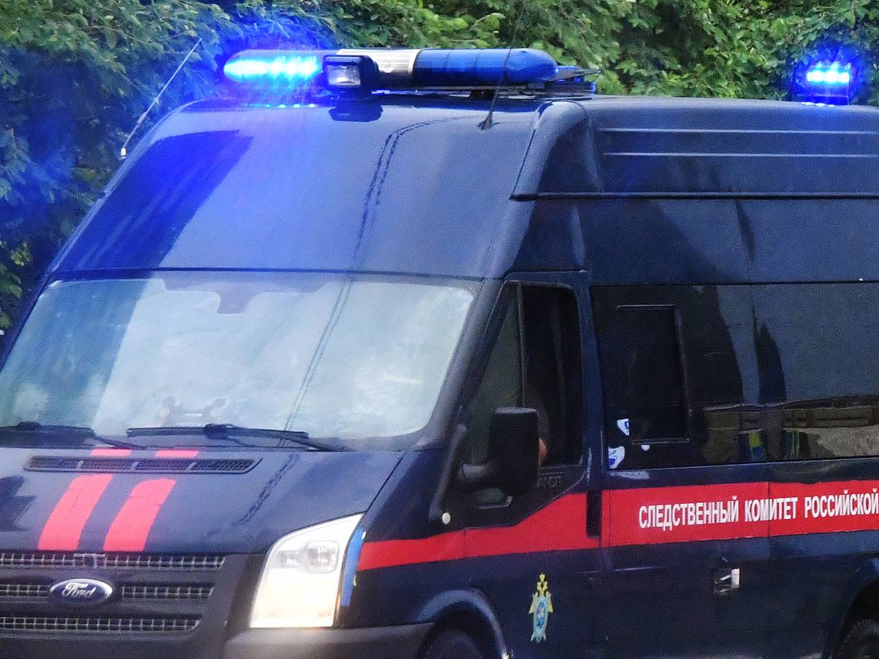 Стала известна судьба владельцев турбазы на Алтае после расправы медведя над туристкой