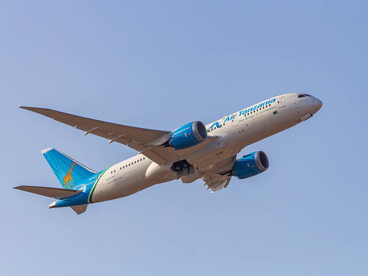 Африканская авиакомпания решила прекратить полеты в Москву