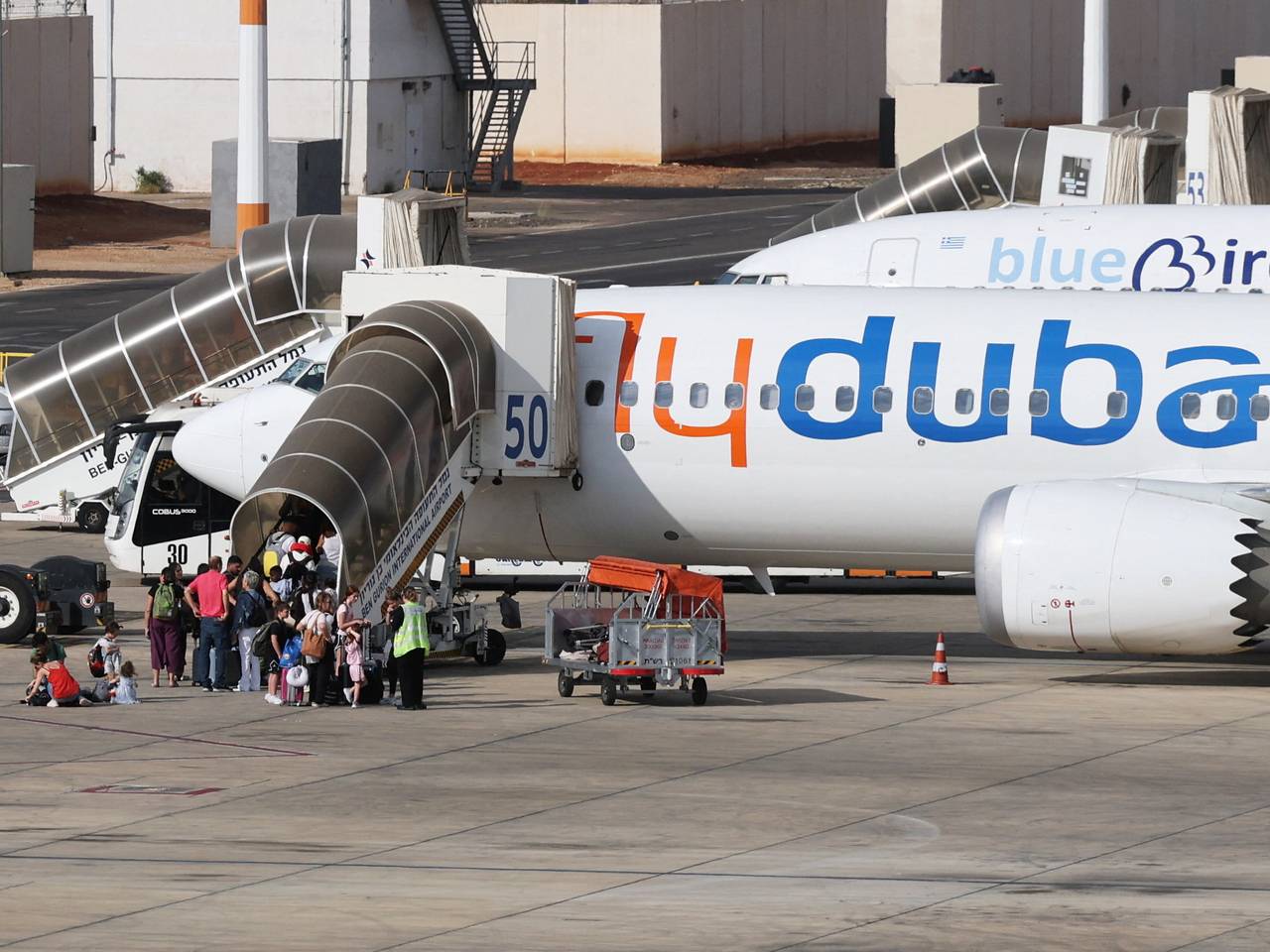 Ударившего напарника ножом пилота Flydubai арестовали