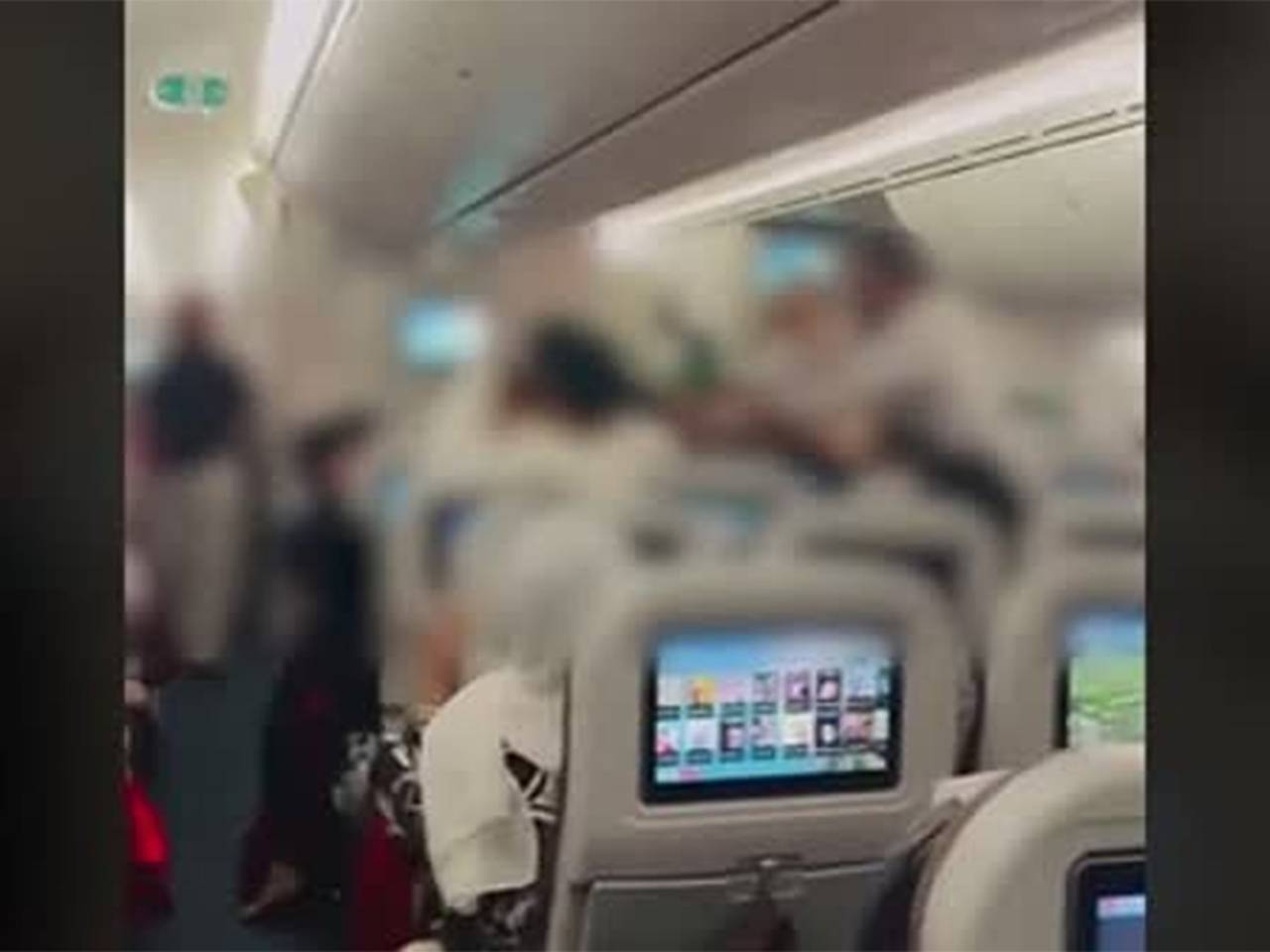 Двое мужчин устроили потасовку на рейсе в Европу и попали на видео