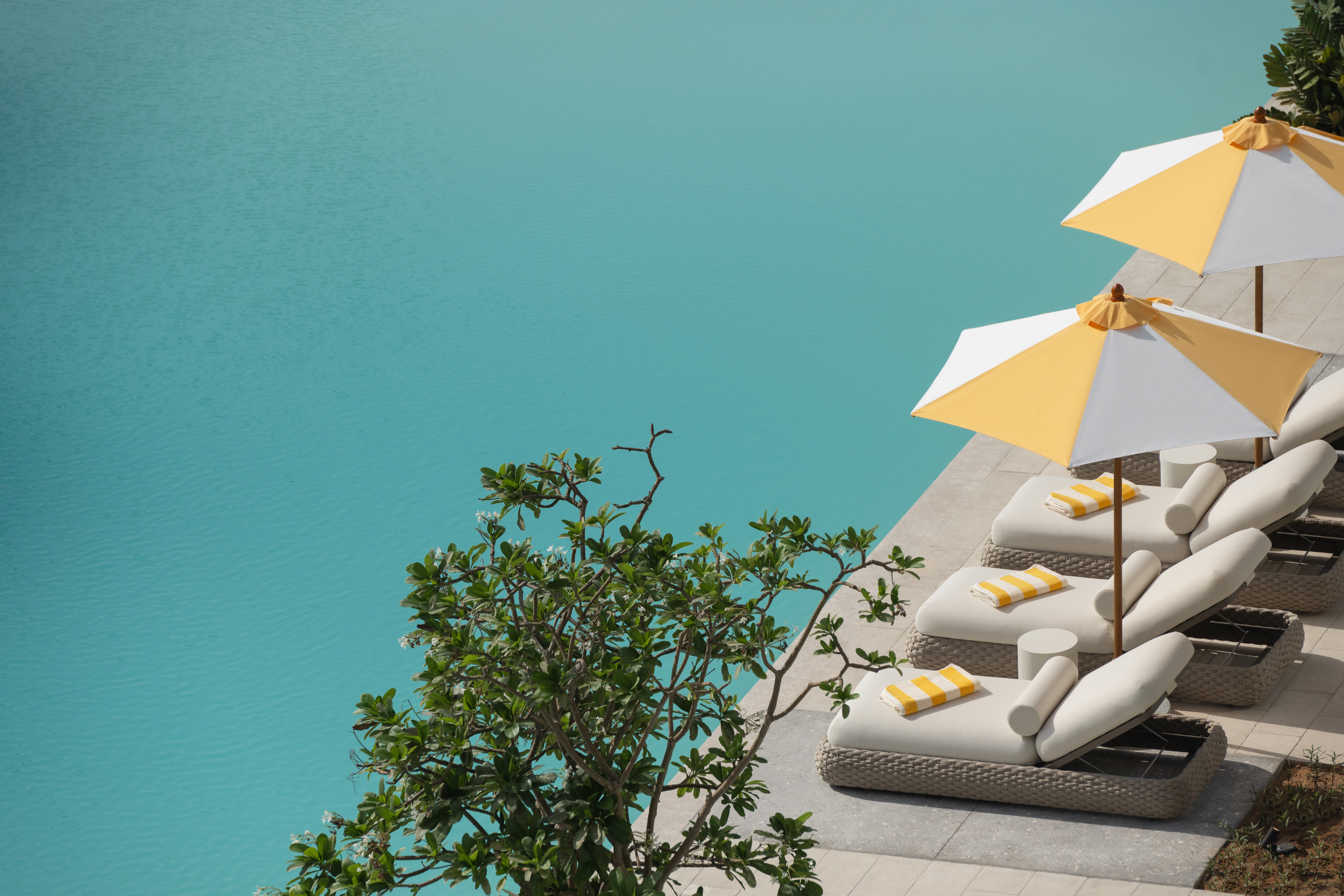 Культовый бассейн, частный пляж и дух Miami Beach: чем Delano Dubai привлечёт туристов Культовый бассейн, частный пляж и дух Miami Beach: чем Delano Dubai привлечёт туристов